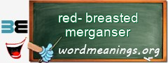 WordMeaning blackboard for red-breasted merganser